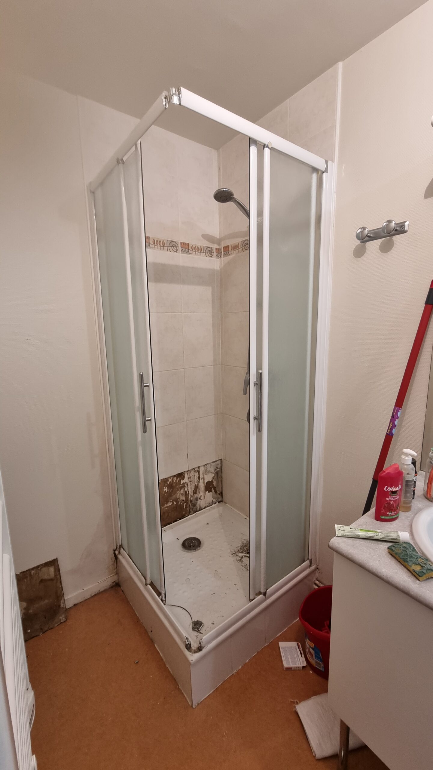 Douche avant travaux